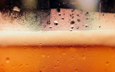 AI预测啤酒的味道和质量